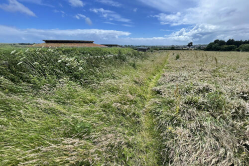 Isle of Wight Walking Festival