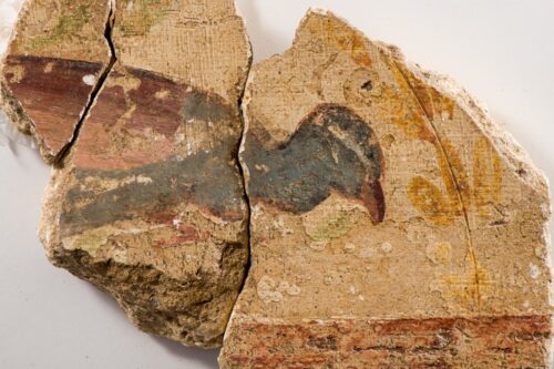 Artefacts - Peacock Painted Wall Plaster