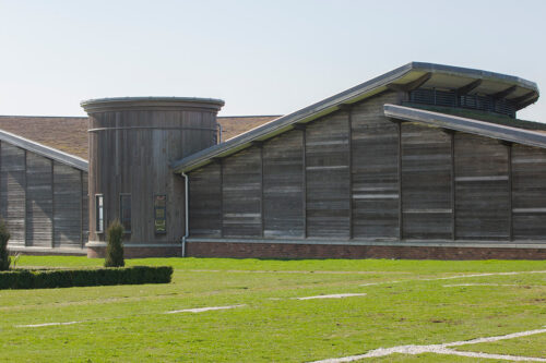Support Brading Roman Villa, Isle of Wight